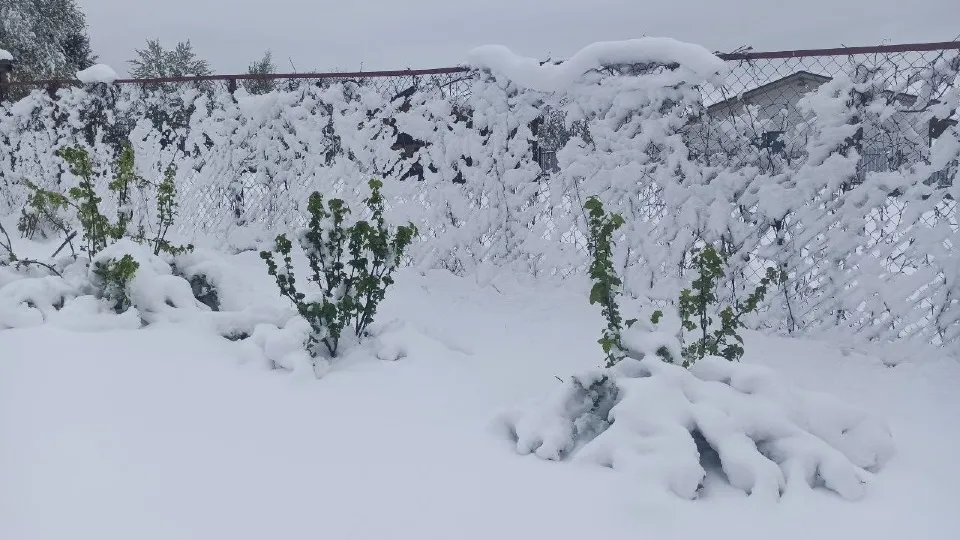 Фото: личный архив Василия Кудрявцева