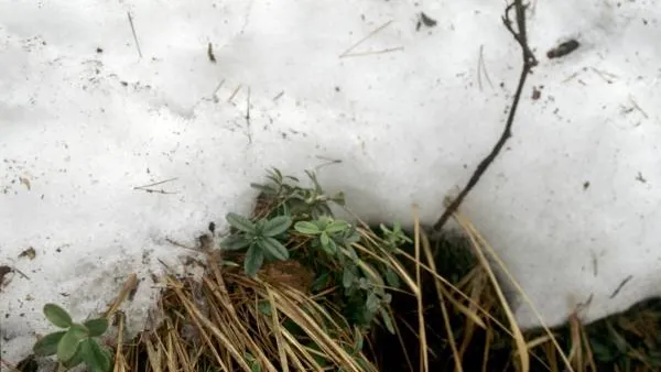 К выходным в столичный регион ненадолго придет тепло