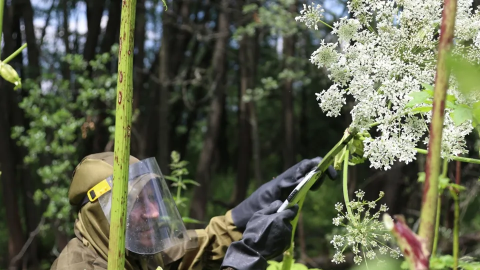 Фото: РИА Новости/Павел Львов