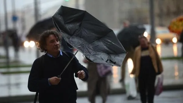 На территории Подмосковья объявлен «желтый» уровень опасности из-за ветра