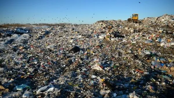 Пять миллиардов рублей направят на ликвидацию полигонов в Подмосковье в 2020 году