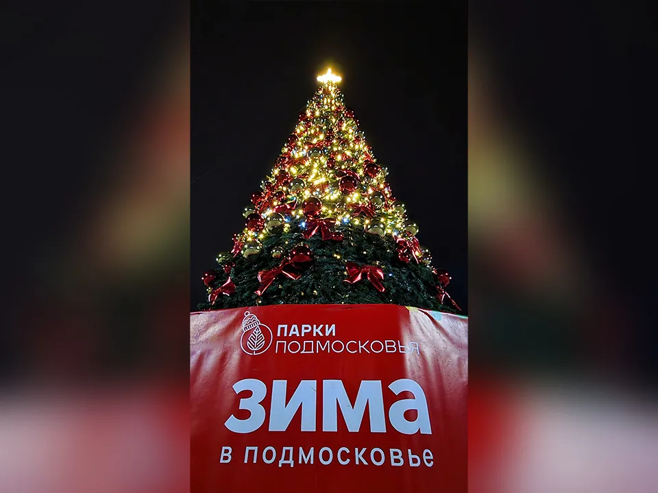 Фото: Андрей Башинский