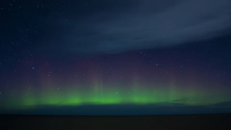 Фото: pxhere.com