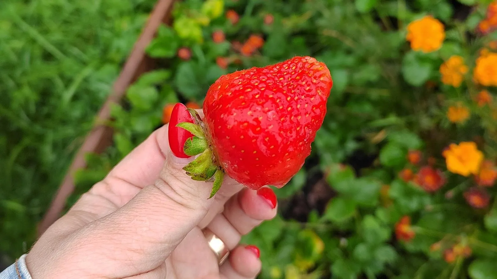 фото: Ася Мовчан