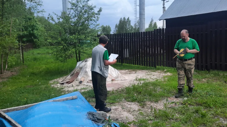 Фото: Комитет лесного хозяйства  Московской области