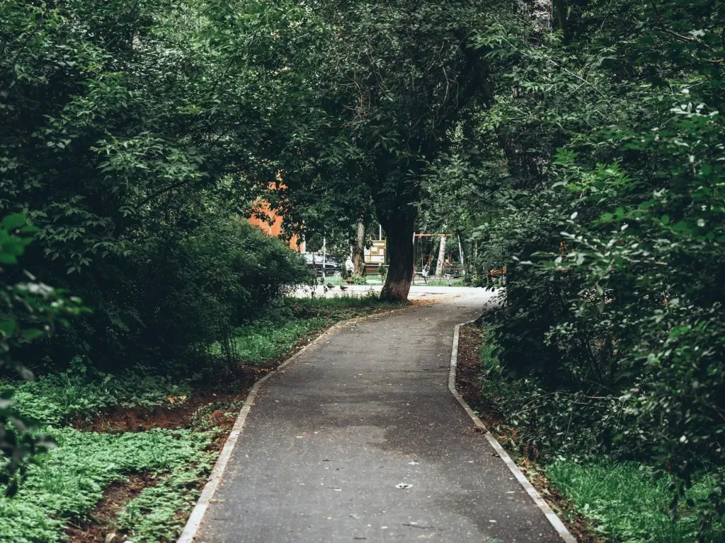 Фото: пресс-служба администрации г.о. Щелково