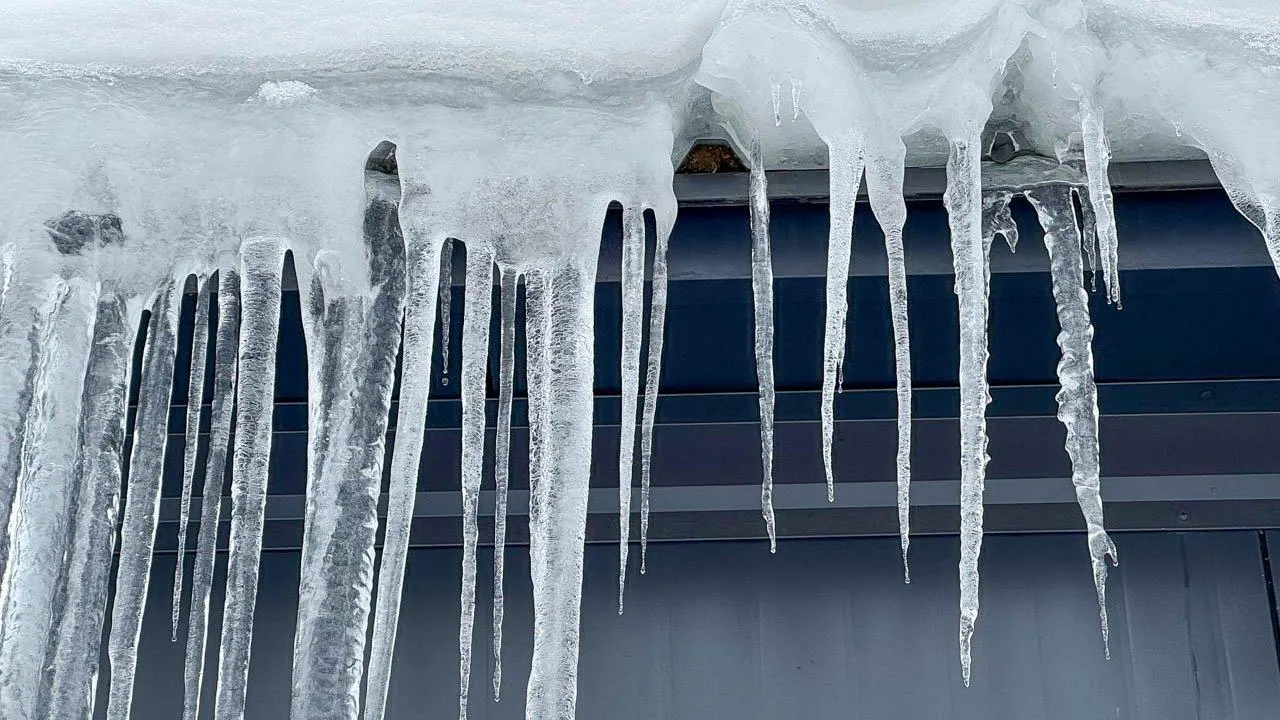 REGIONS/Владимир Ерастов