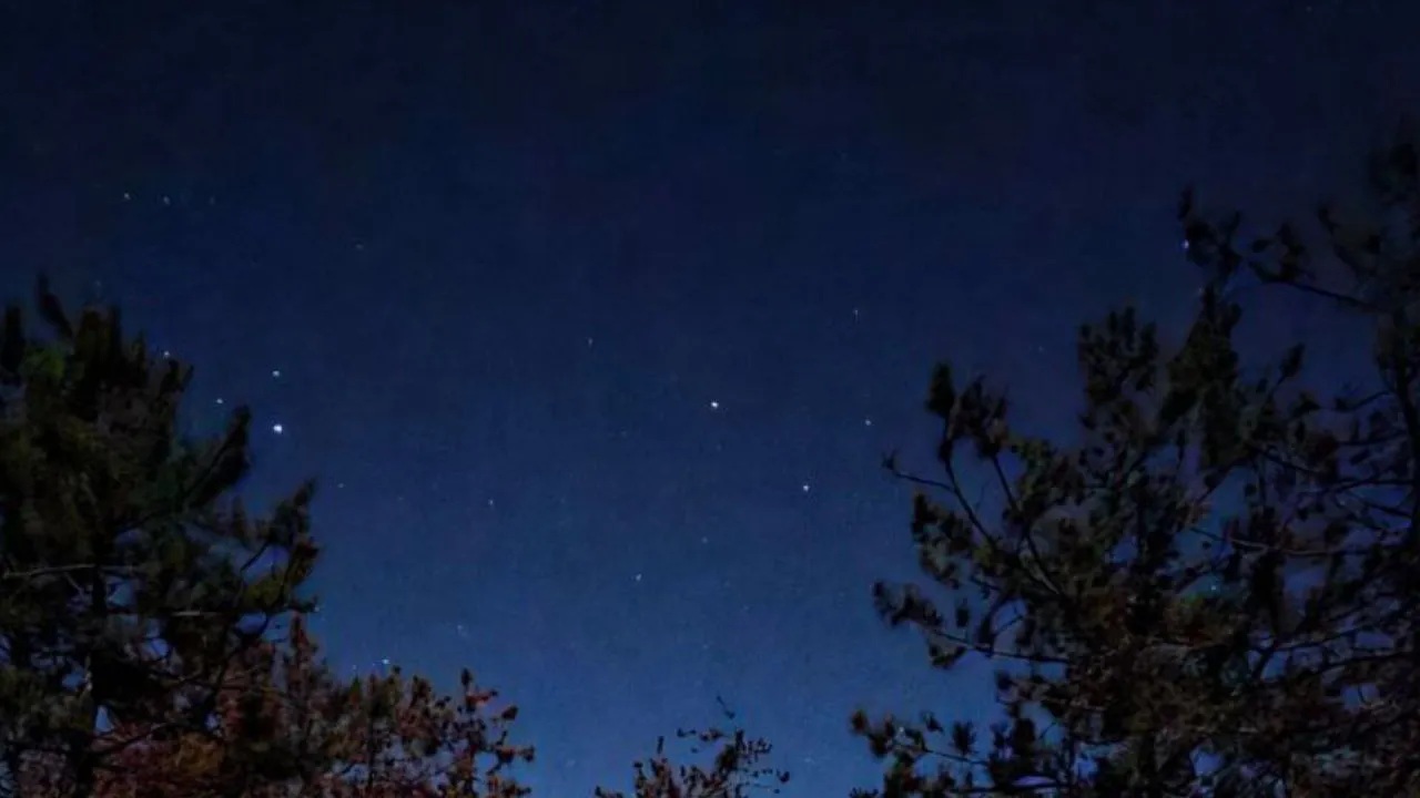 Фото: REGIONS/Анастасия Широкая