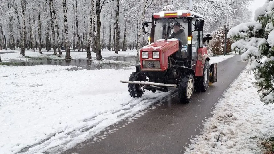 Фото: пресс-служба администрации г.о. Лобня