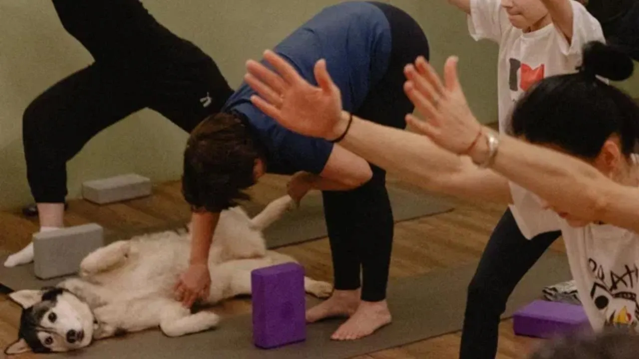 Эрнест Заведеев