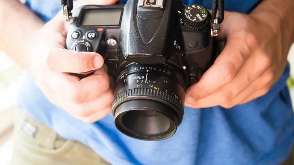 Фото: istockphoto.com/MarioGuti