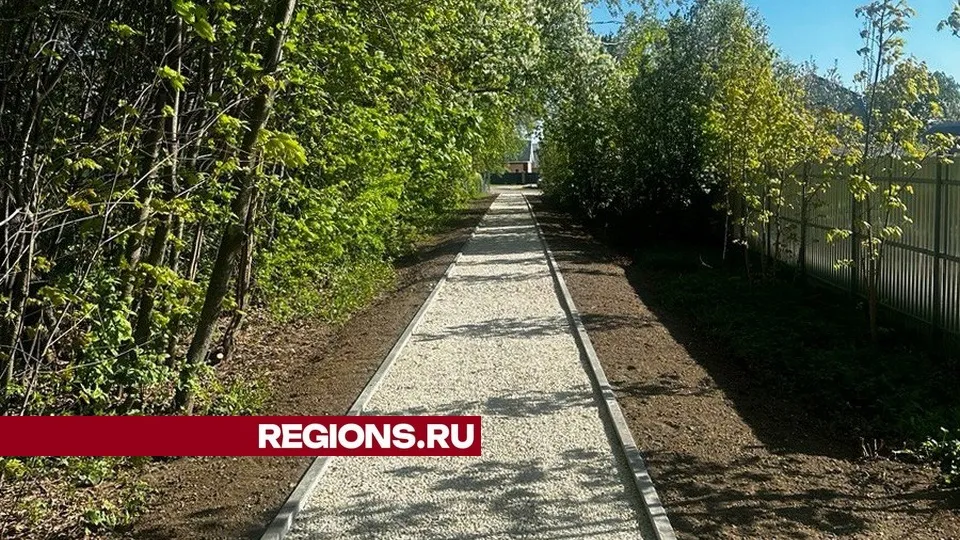 Фото: пресс-служба администрации городского округа Луховицы