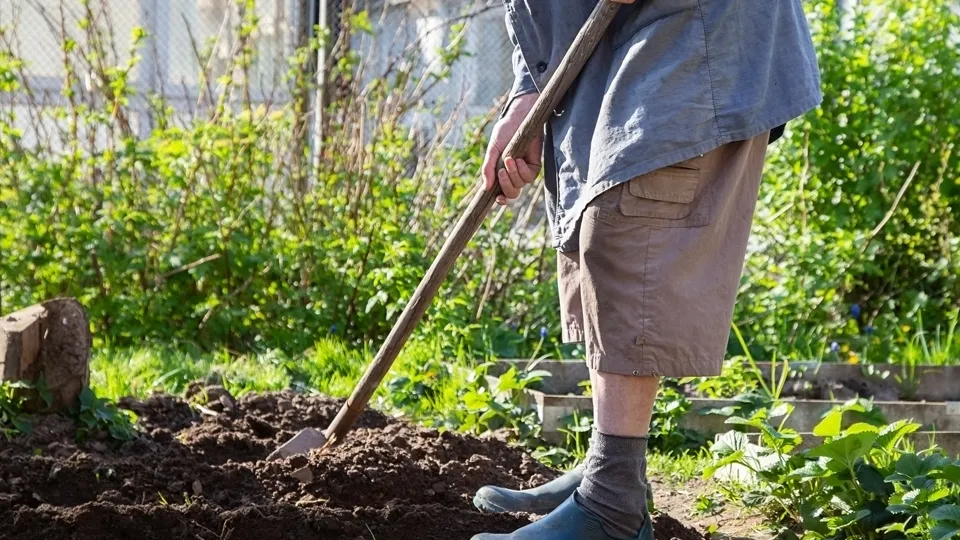 Фото: istockphoto.com