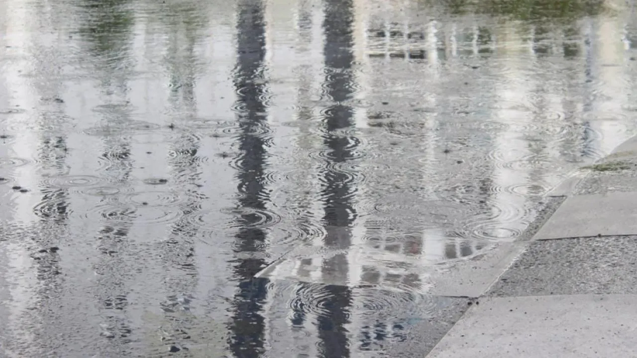 REGIONS/Анастасия Широкая