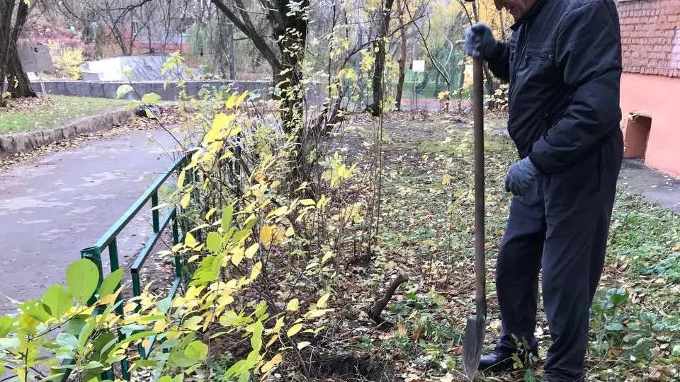 Фото: пресс-служба администрации г.о. Люберцы