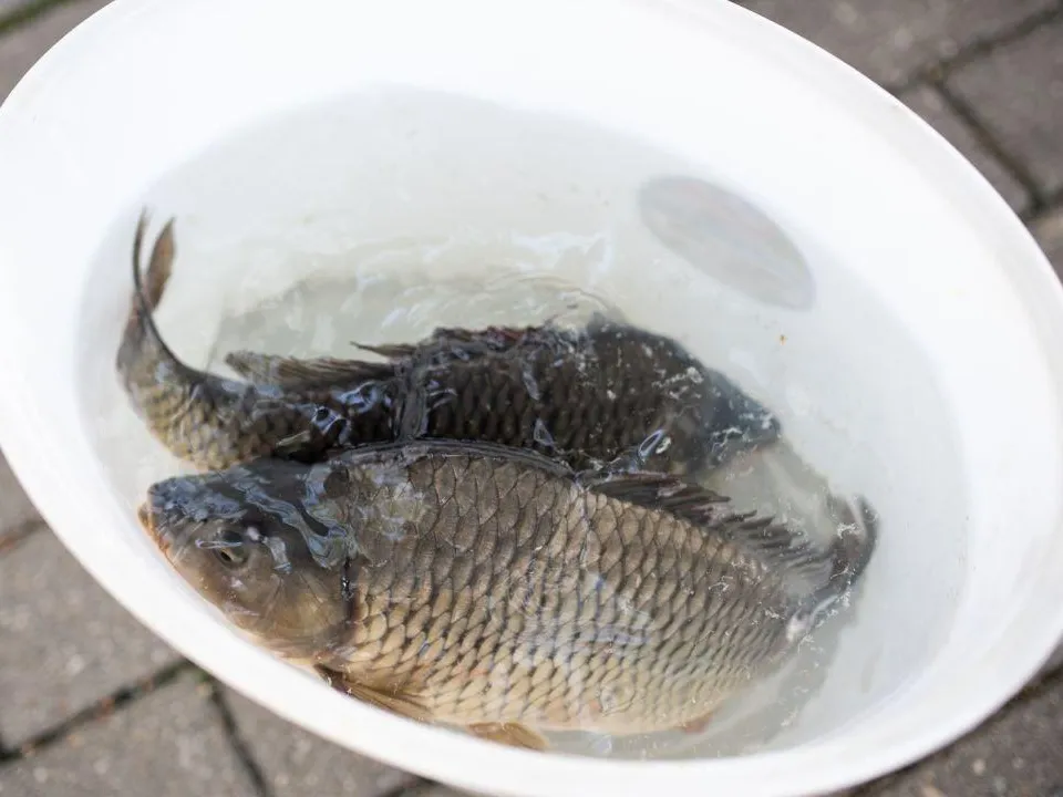 Фото: администрация городского округа Люберцы