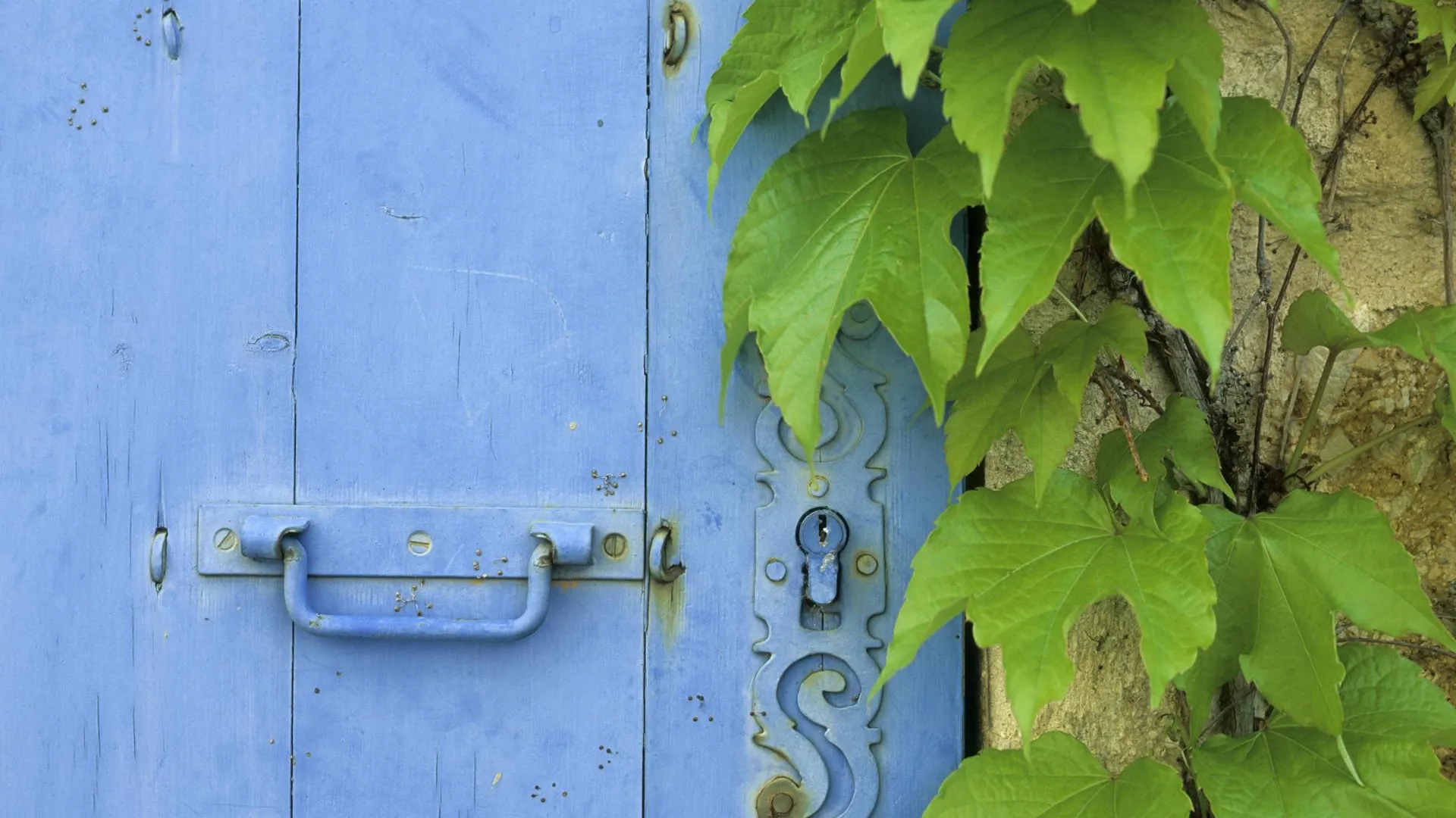 Michael Fischer/imageBROKER.com