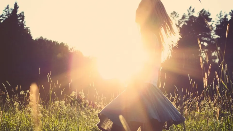 Фото: pxhere.com