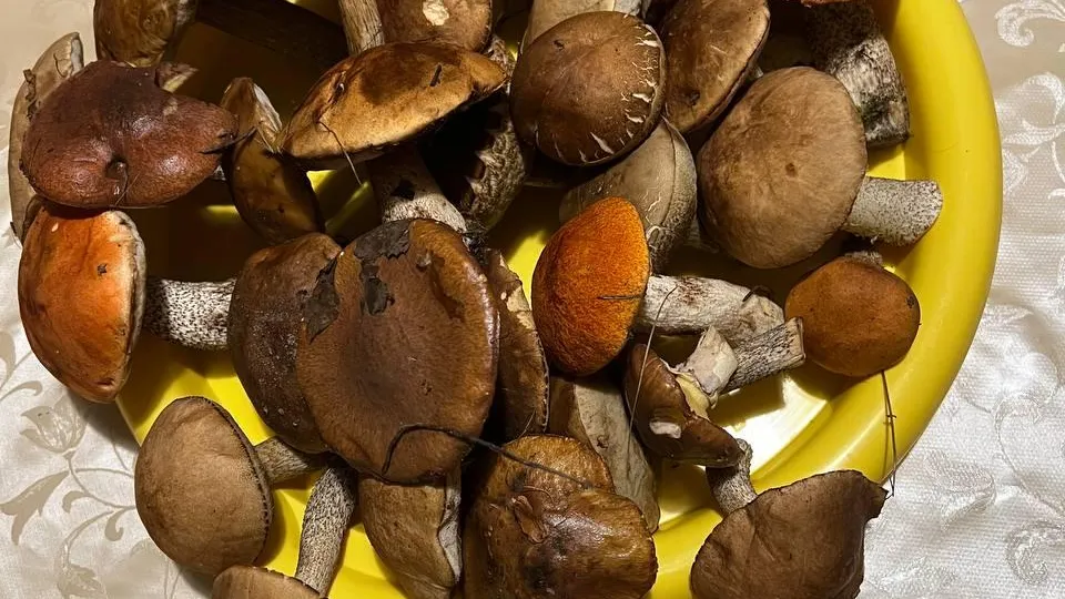 Анна Токорева