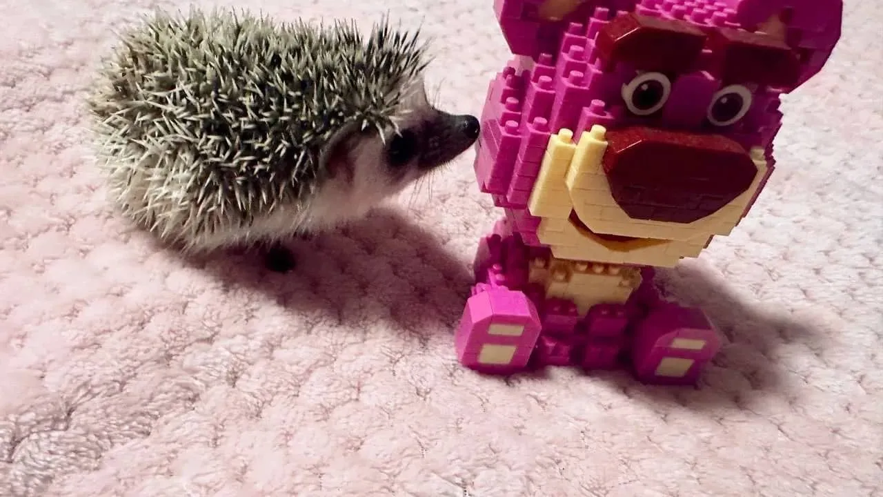 Фото: городская доска объявлений