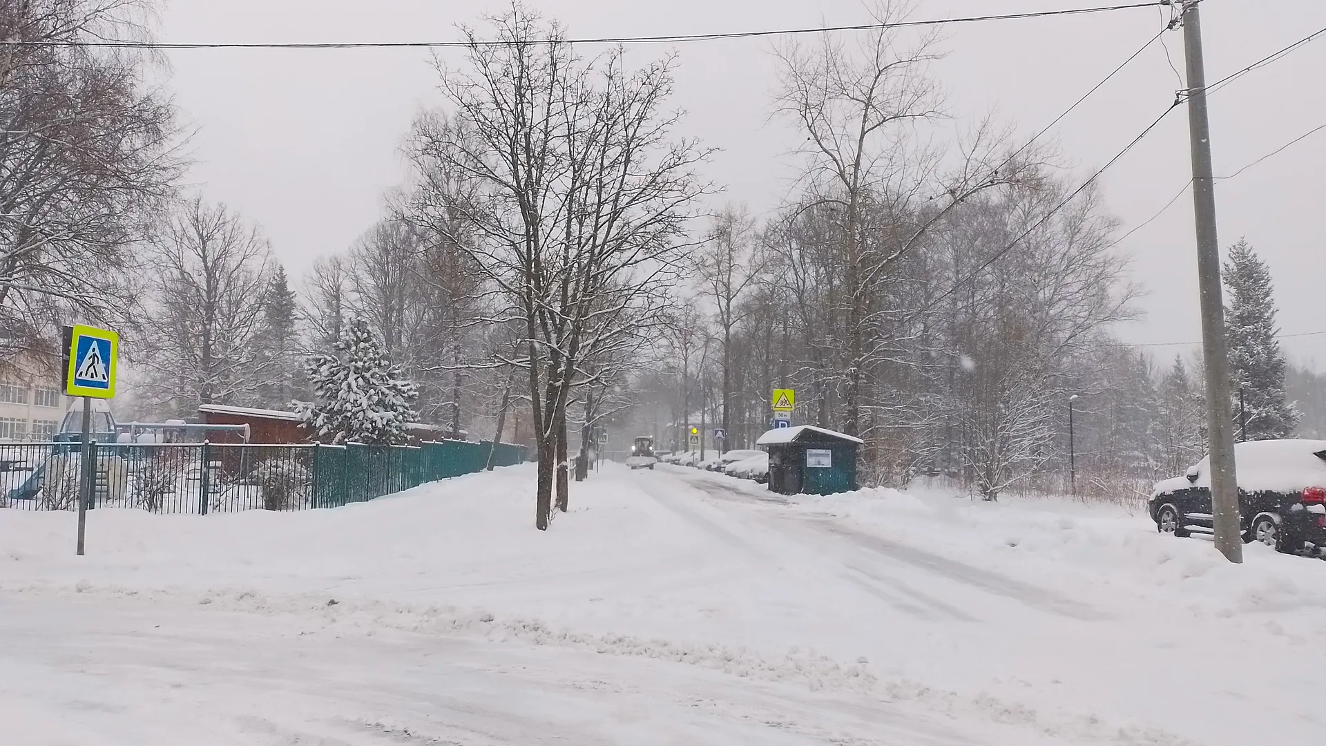 Фото: МедиаБанк Подмосковья/Анастасия Новак