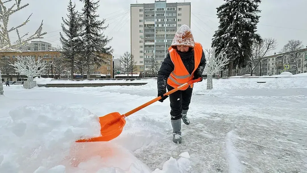 Кристина Тришина
