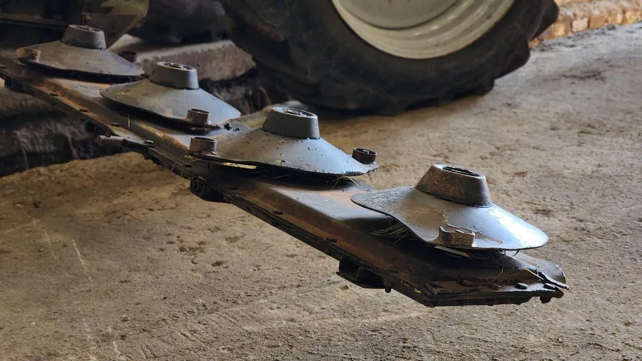 REGIONS/Валерия Тингаева