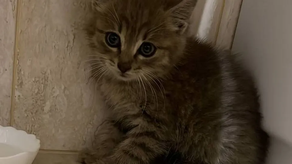 Фото: соцсети