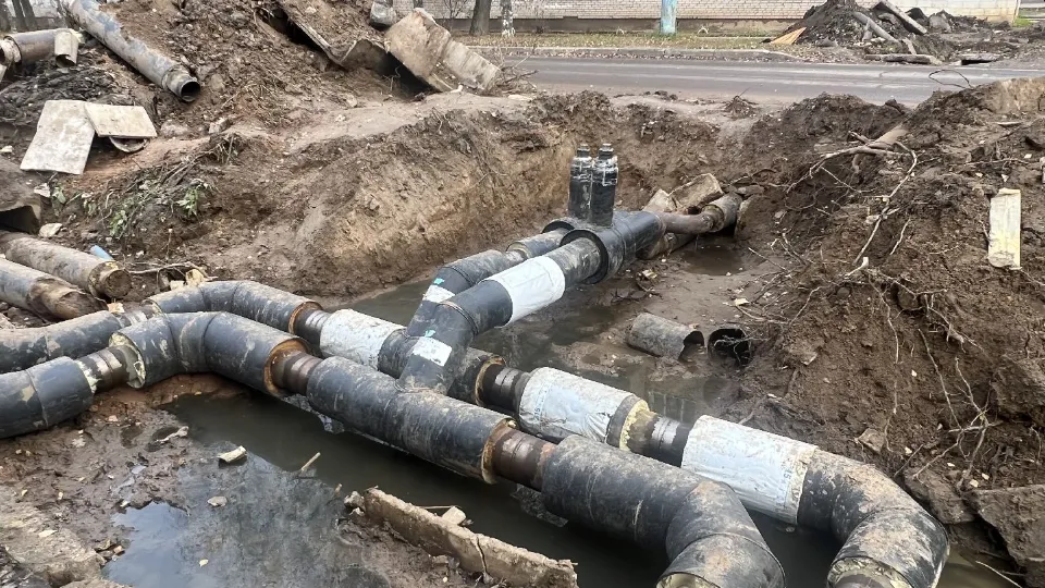 Фото: МедиаБанк Подмосковья/Аннета Юрасова