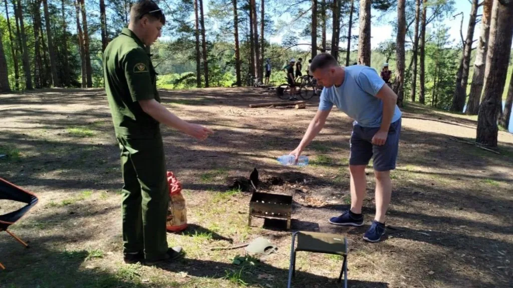 Фото: Комитет лесного хозяйства Московской области