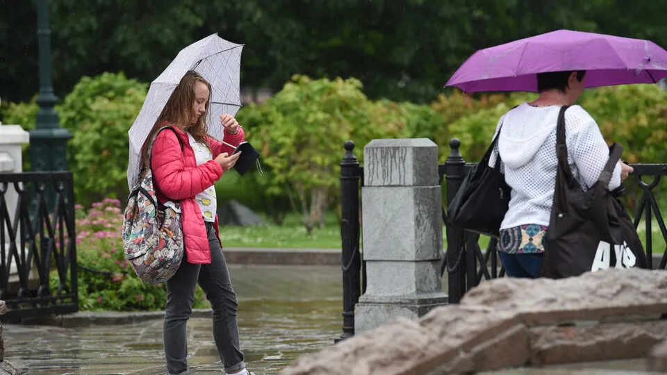 Фото: медиасток.рф