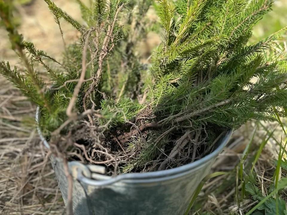 Фото: t.me/mmtehnikum