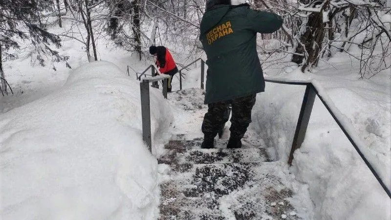 Лесничие организовали субботники рядом с родниками в лесном фонде Сергиево-Посадского округа