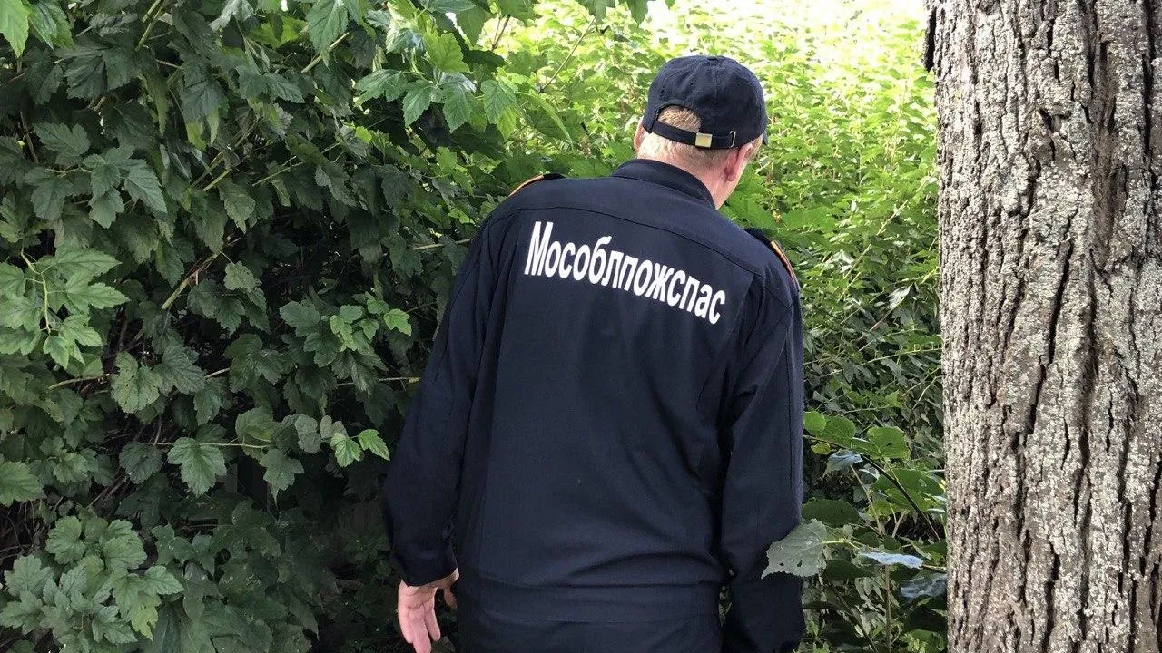 Фото: Мособлпожспас