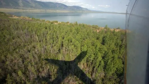 Александр Кряжев / РИА Новости