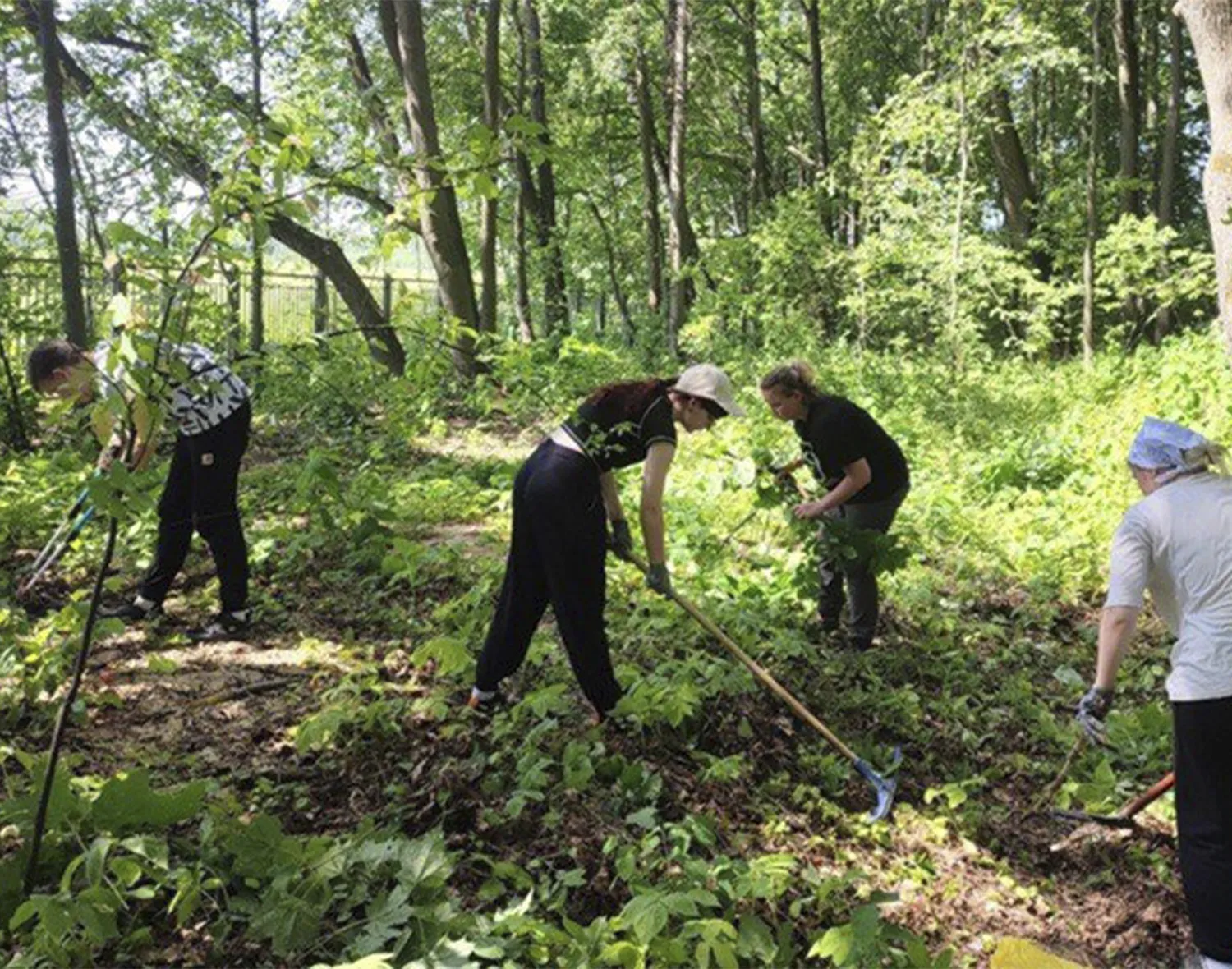 Фото: музей-усадьба «Даровое»