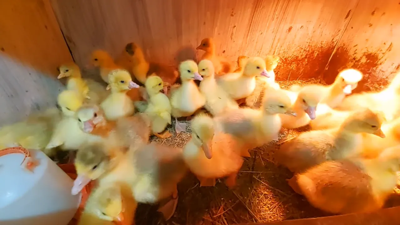 личный архив Виктории Прохоровой