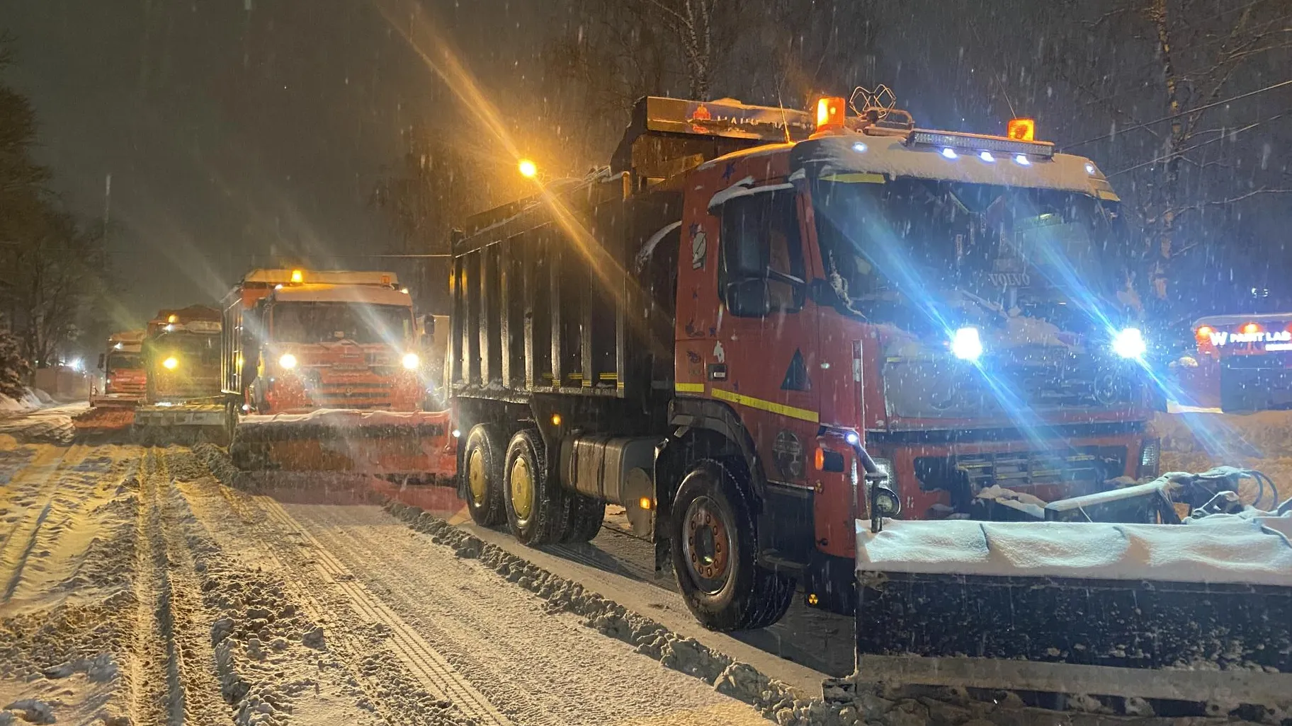 Анна Артюшина