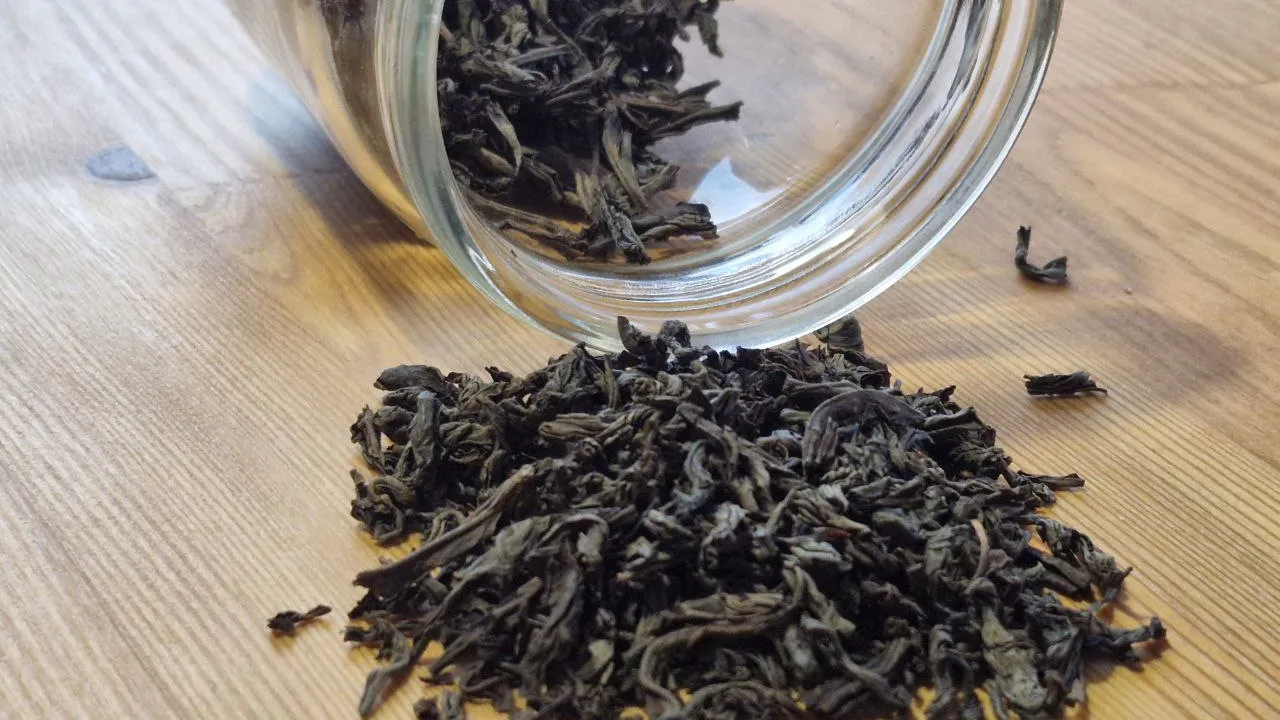 Фото: REGIONS/Наталия Надточая