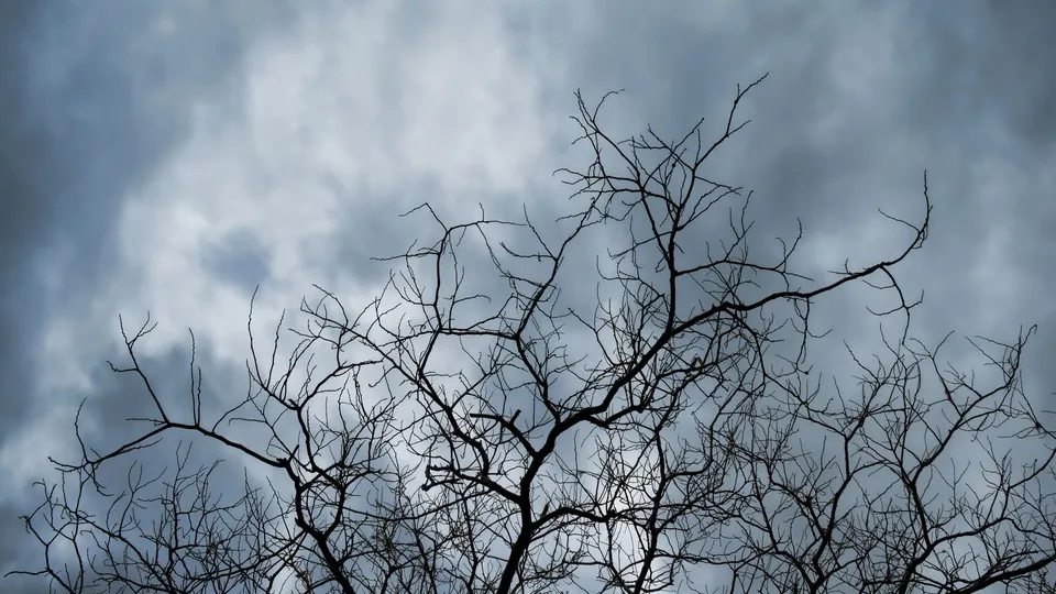 Фото: pxhere.com