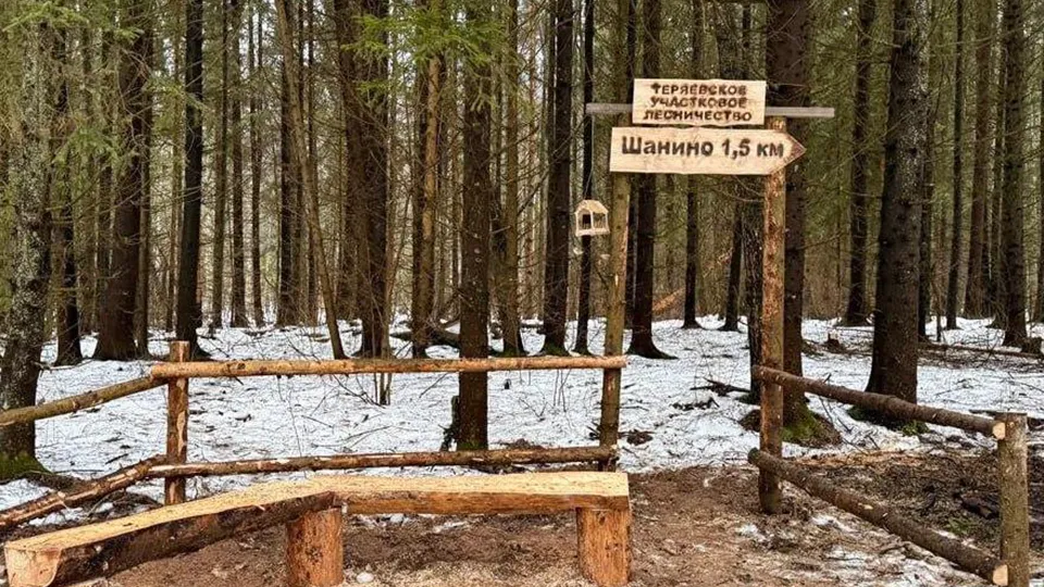 Фото: Комитет лесного хозяйства Московской области