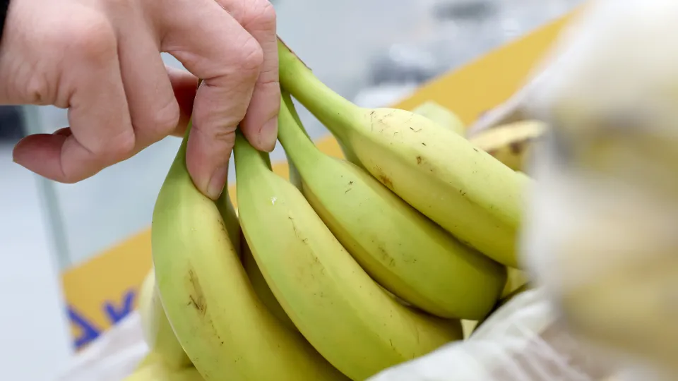 Фото: ТАСС/Александр Рюмин