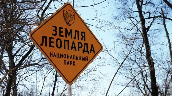 Виталий Аньков / РИА Новости