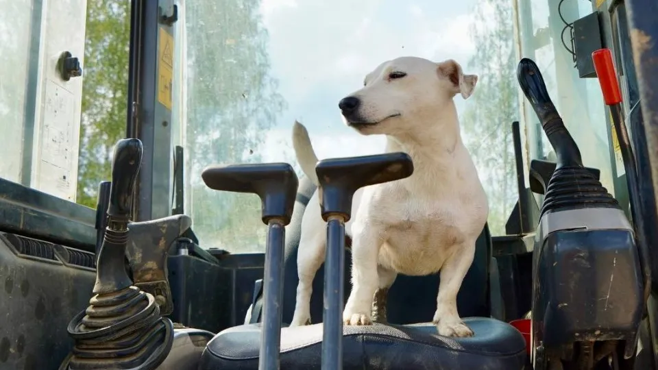 Фото: t.me/MOG_Sever