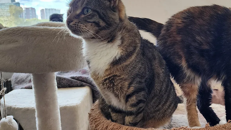 Фото: REGIONS/Максим Сафронов