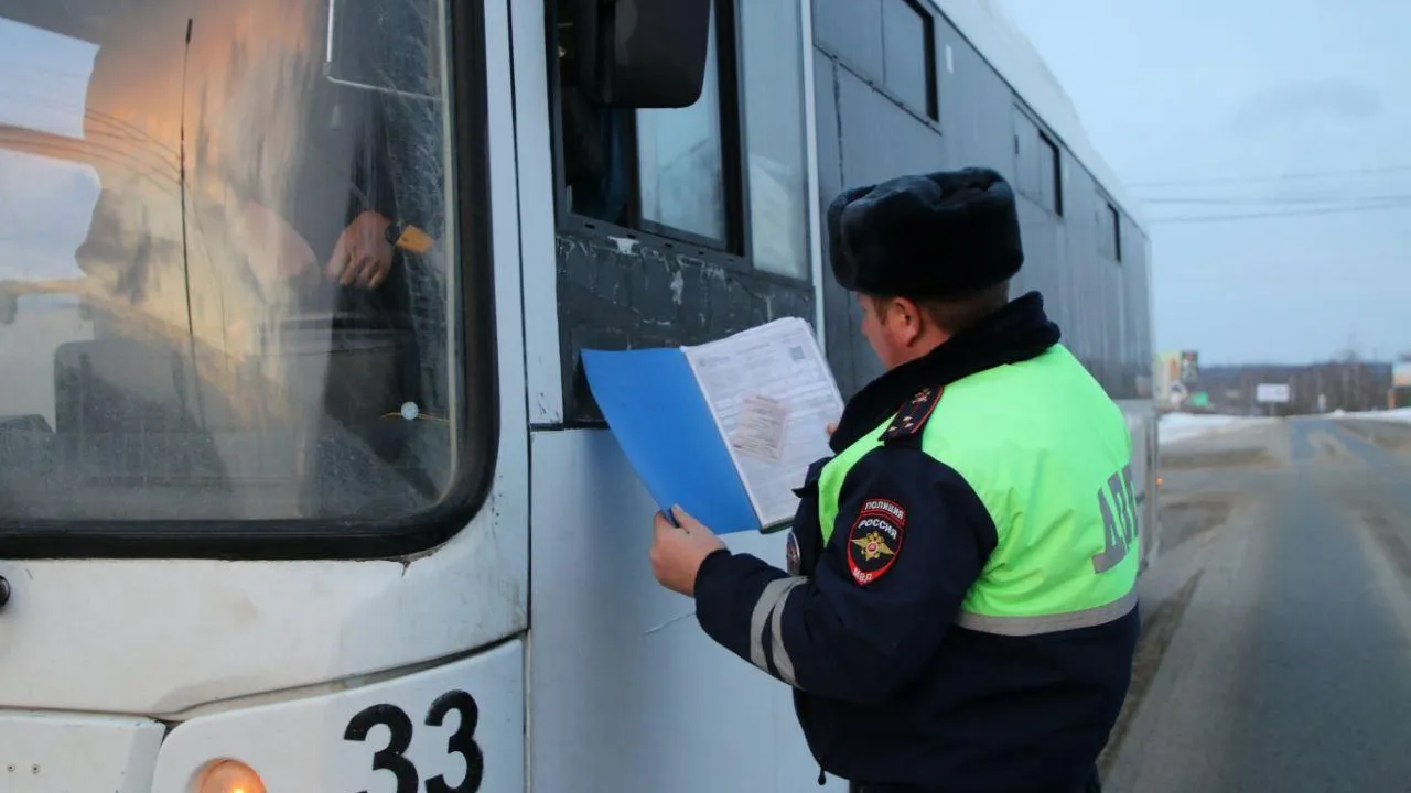 Источник: Госавтоинспекция МО