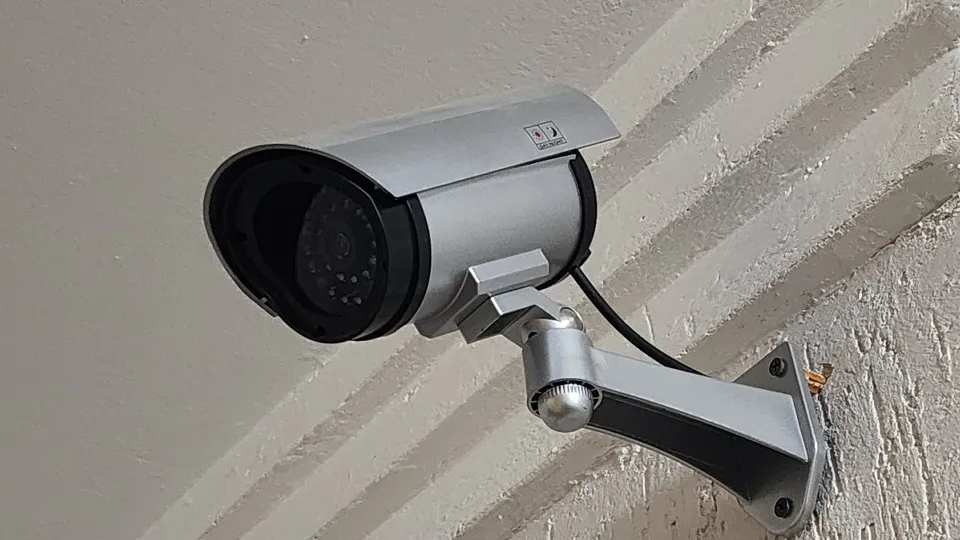 Фото: МедиаБанк Подмосковья/Максим Сафронов