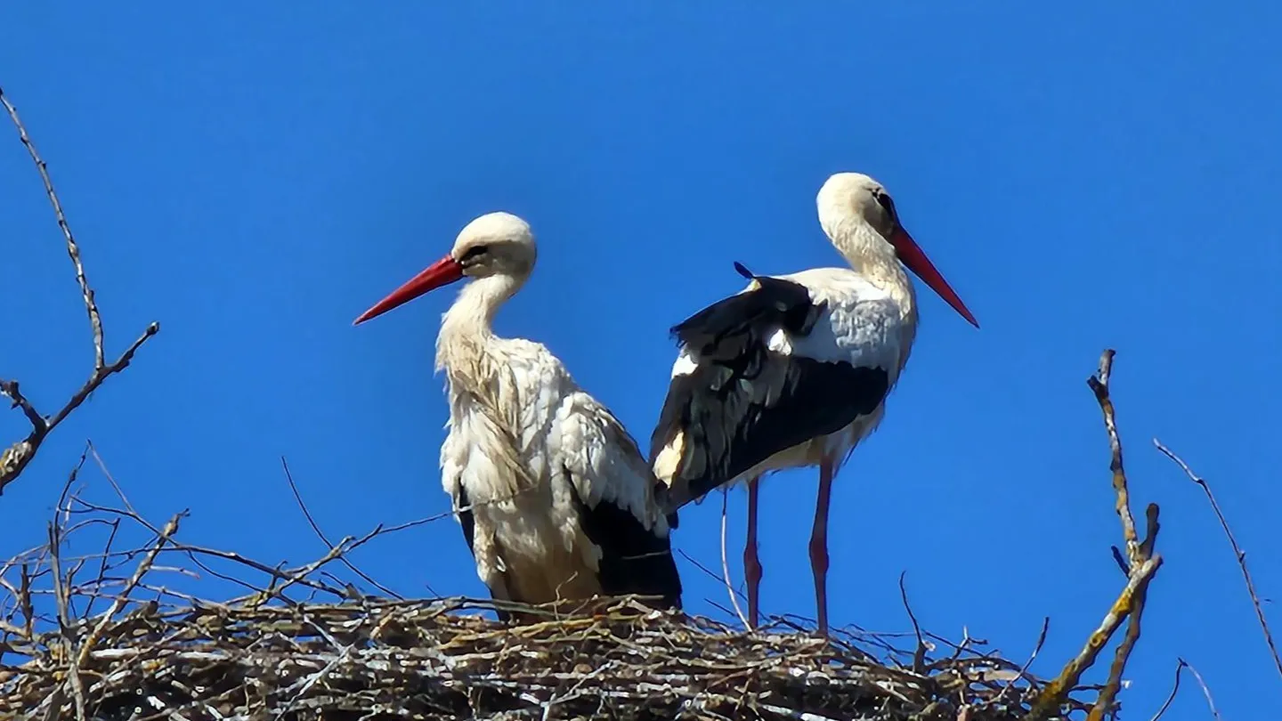 Фото: Екатерина Данилина