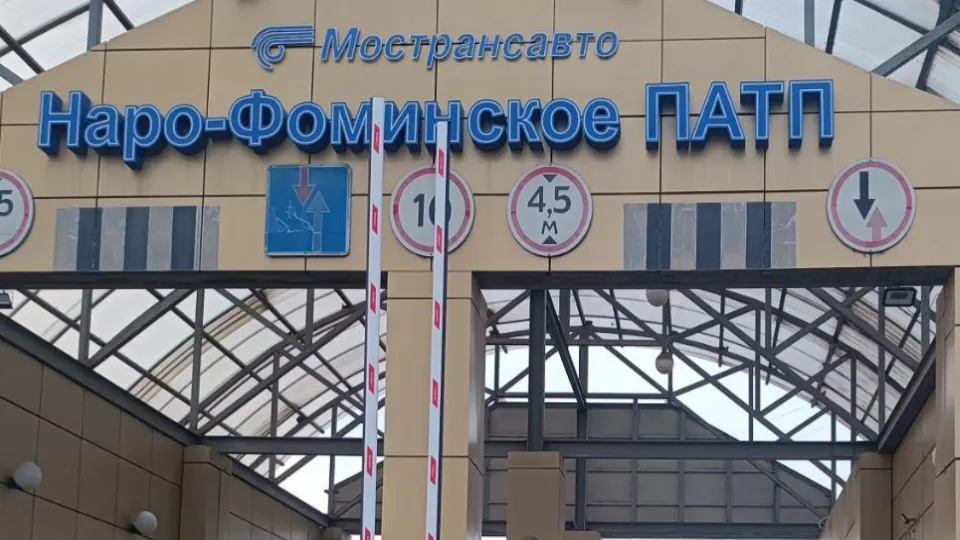 Фото: Министерство образования Московской области