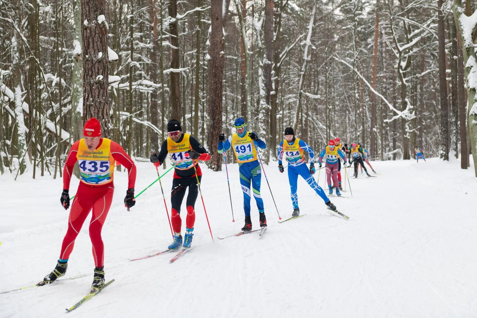 Фото: Владимир Думчев